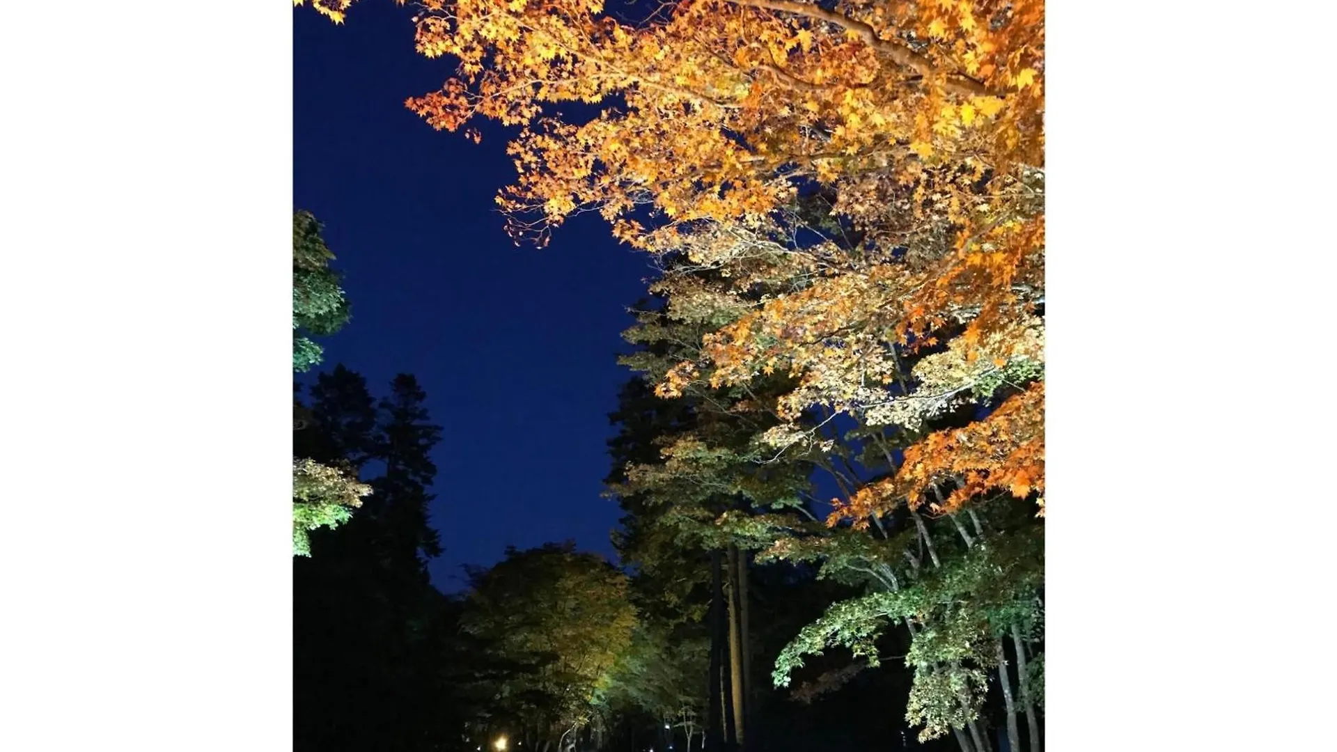 Hotel Tetora Yunokawaonsen - Vacation Stay 30623V Hakodate